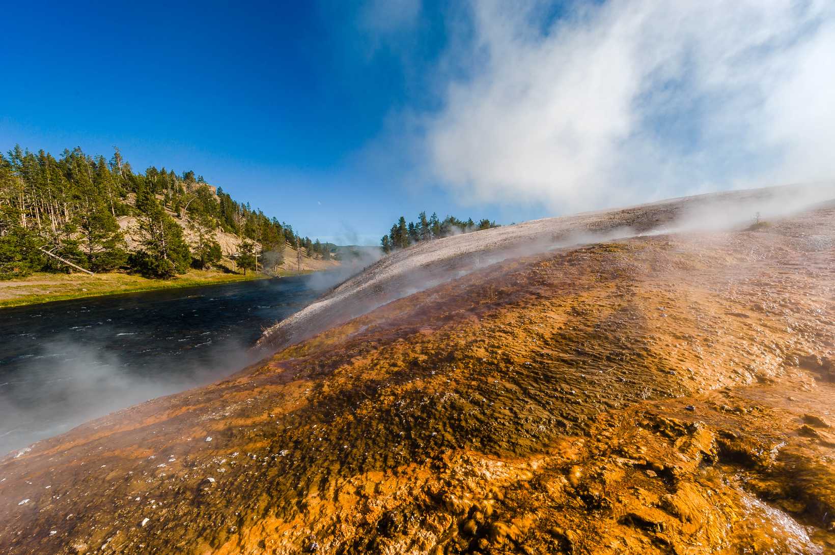 Yellowstone-1272