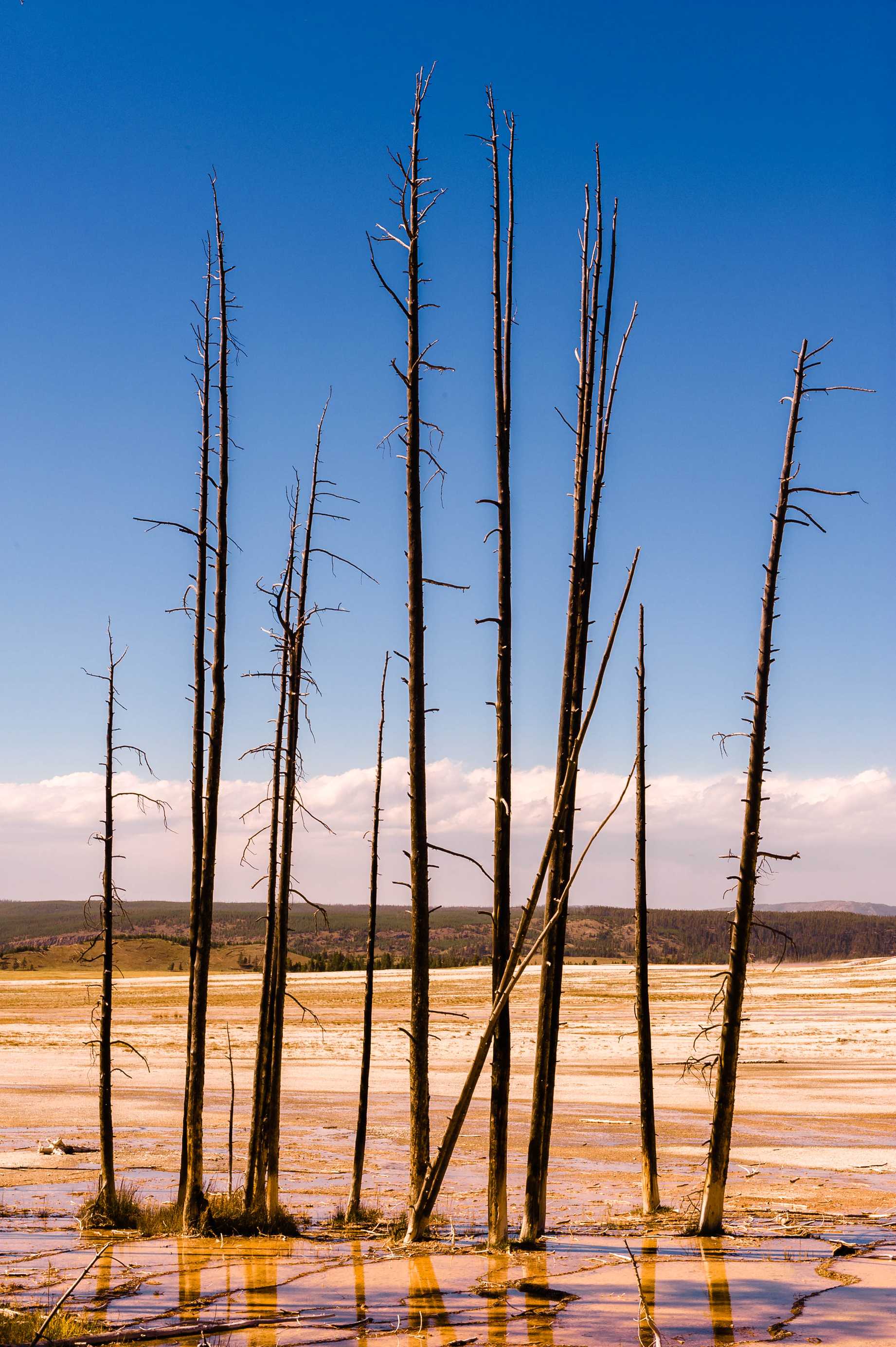 Yellowstone-0929