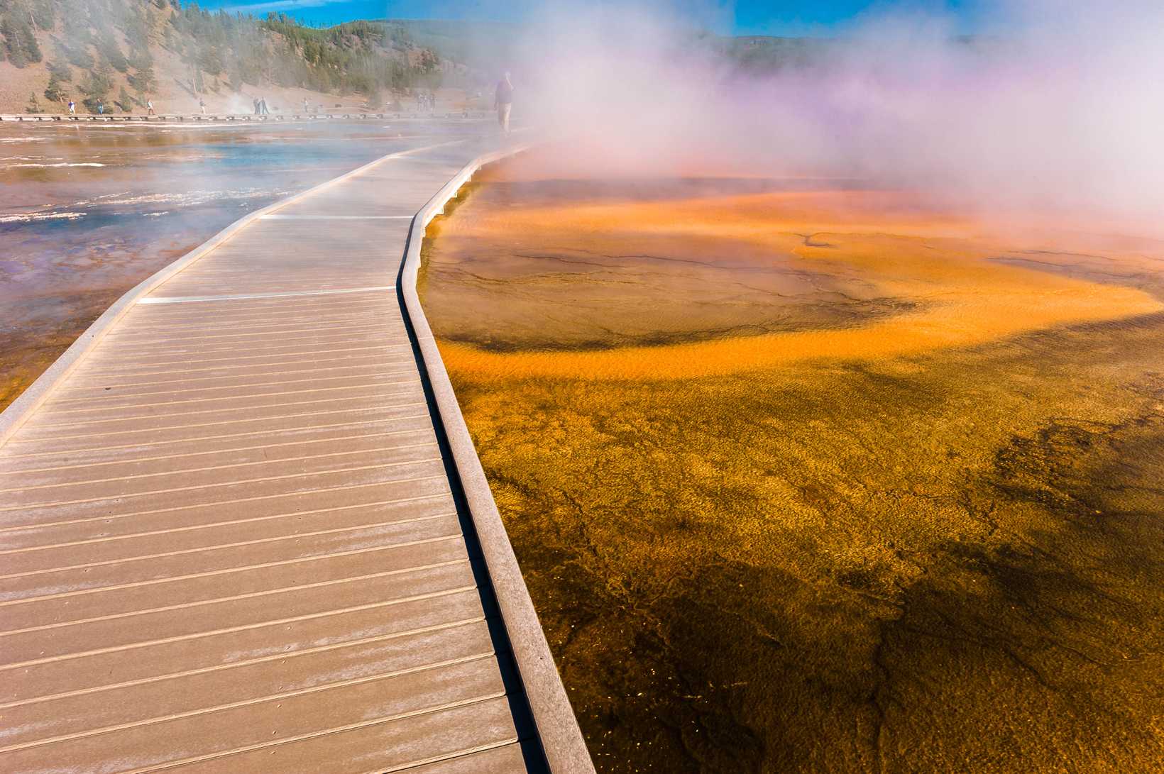 Yellowstone-1234