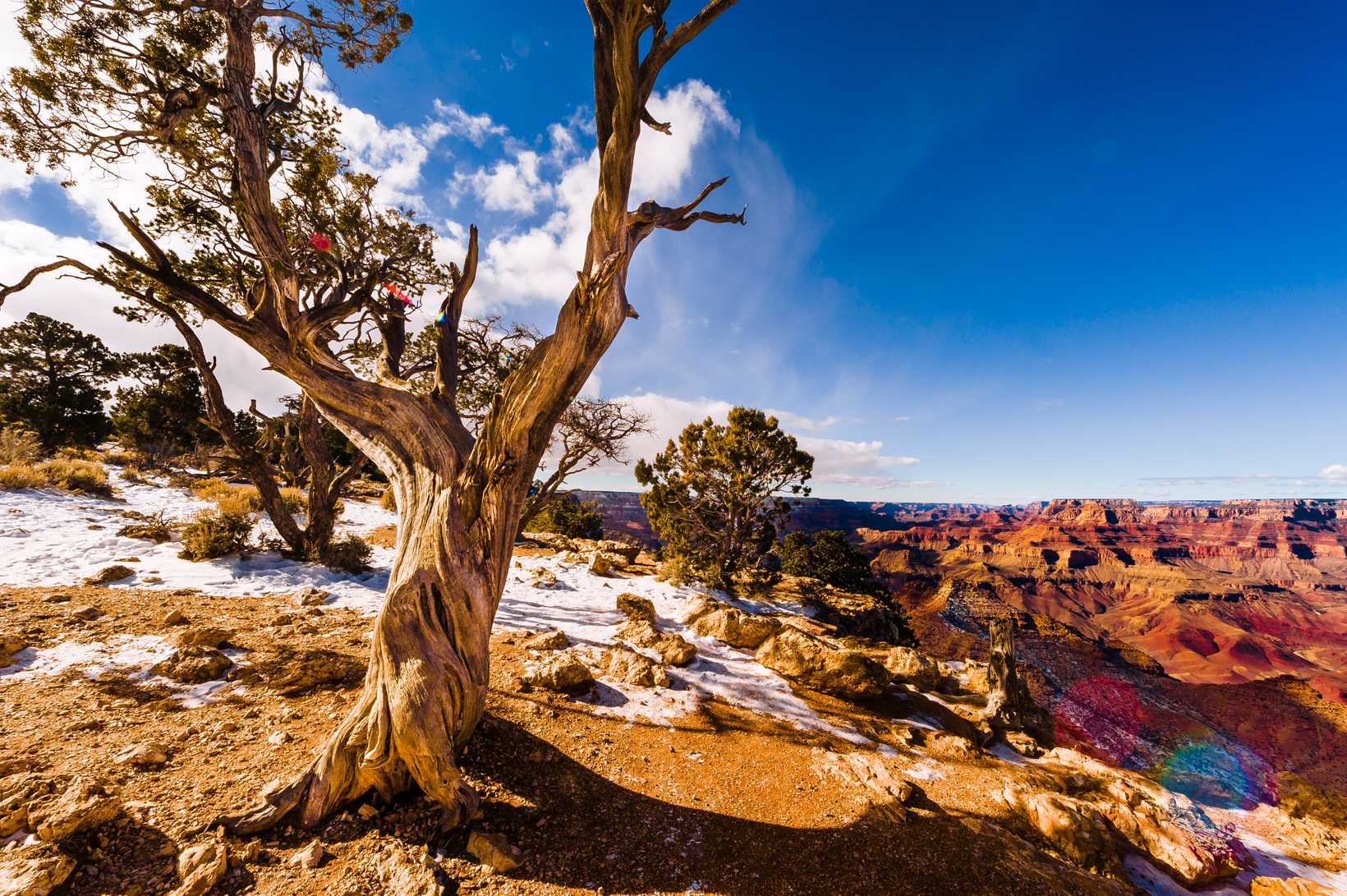 GrandCanyon2015-3995