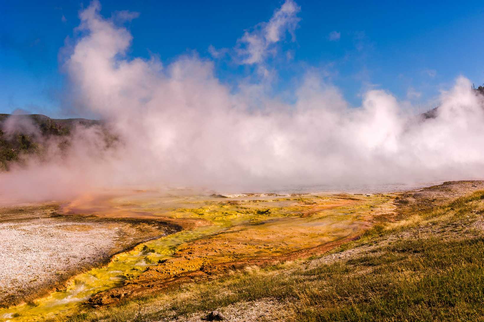 Yellowstone-1142