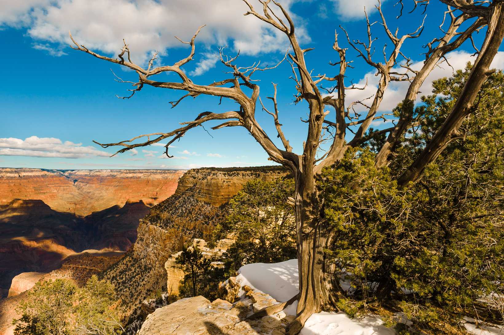 GrandCanyon2015-4140