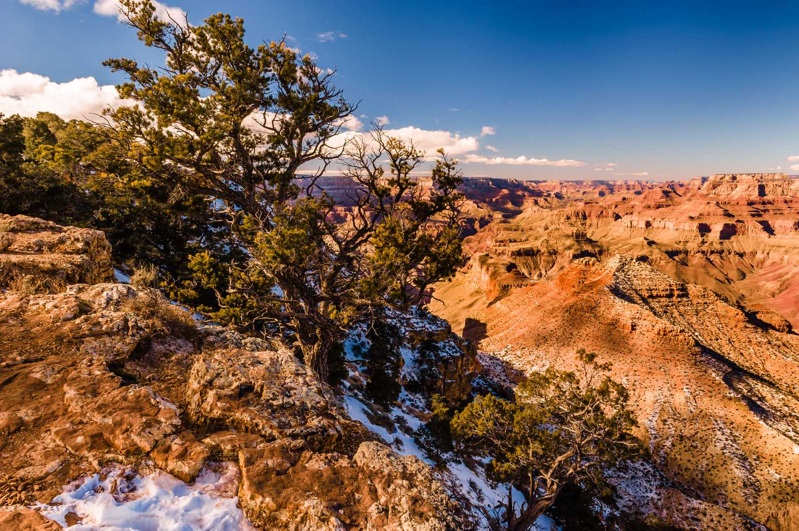 GrandCanyon2015-3896